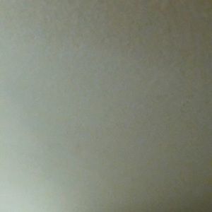 Meet your Posher, Liz